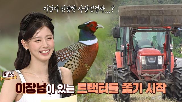 트랙터 집착꿩