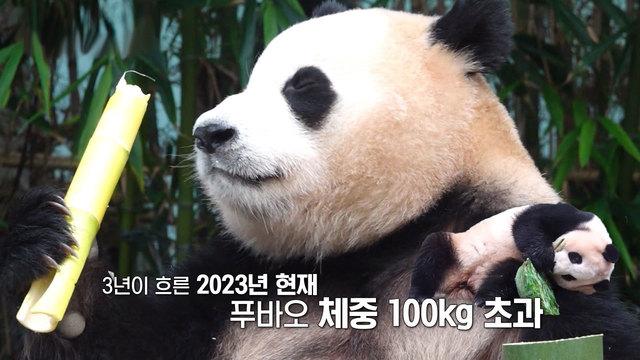 2023 동물들의 여름나기 1부