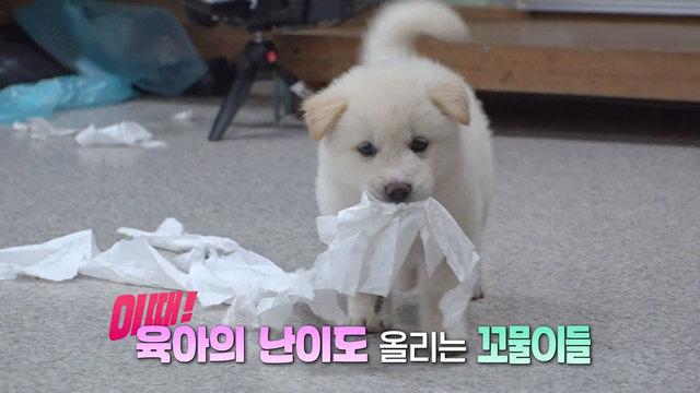 절에 사는 자유부인