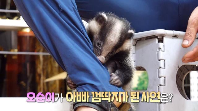 너만 바라봐~ 오순이!