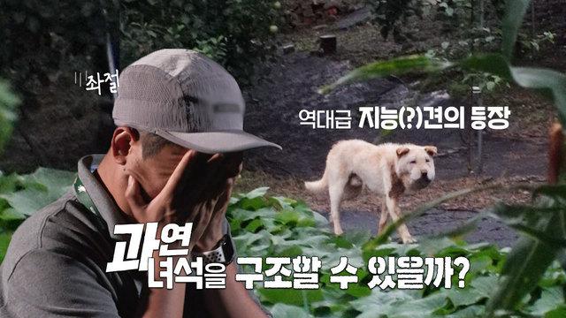 목 졸린 백구를 구하라! (1편)