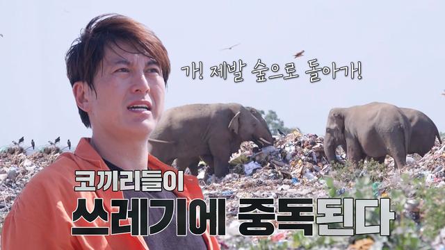 쓰레기 먹는 코끼리