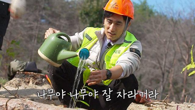 나무 심기 캠페인