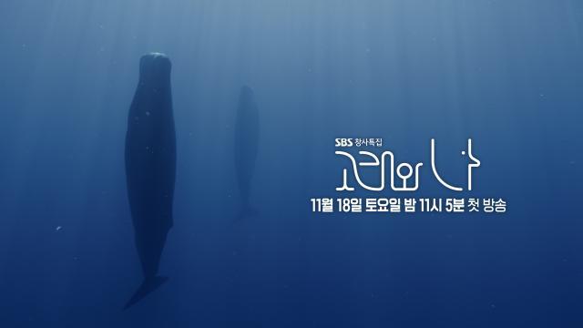 [선공개] ‘20개 나라 30개 지역’ 고래를 담기 위한 길고 먼 여정