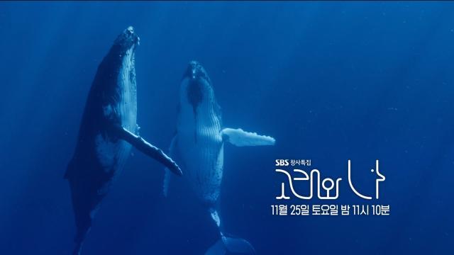[11월 25일 예고] ‘새끼 혹등고래를 찾아라’ 남태평양에서 펼쳐진 지구상 가장 거대한 추격전!