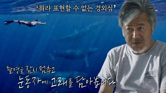 ‘수중촬영 감독’ 김동식, 눈앞에서 마주한 고래의 모습에 느끼는 아름다움