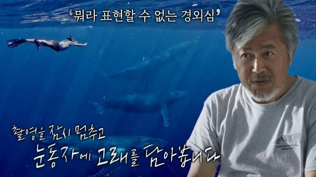 ‘수중촬영 감독’ 김동식, 눈앞에서 마주한 고래의 모습에 느끼는 아름다움
